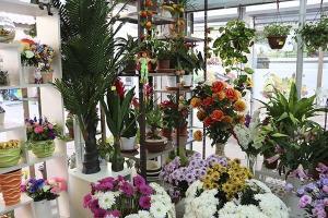 цветочный магазин