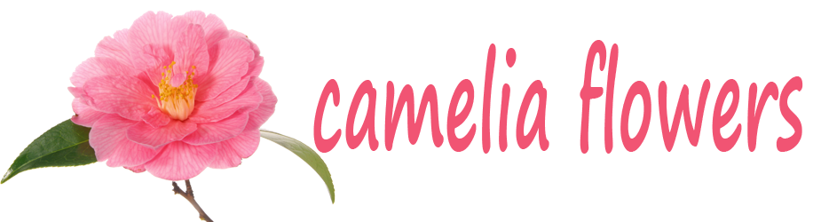 Цветочный магазин Камелия