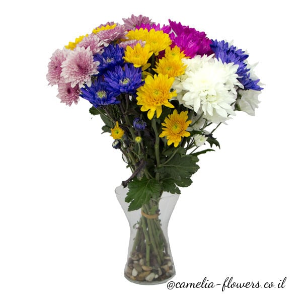 Chrysanthemums bouquet.